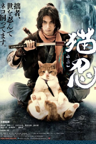  Ниндзя и кот 