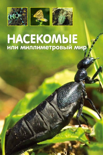  Насекомые, или Миллиметровый мир 