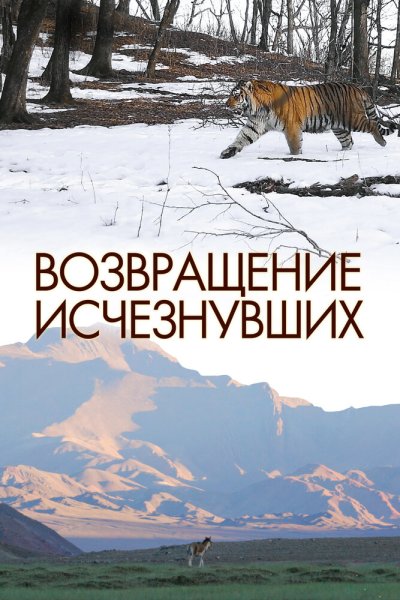  Возвращение исчезнувших 